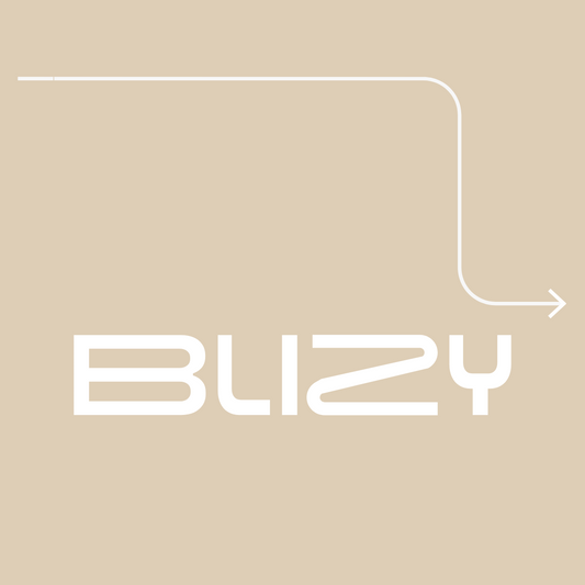 Kaip veikia Blizy?